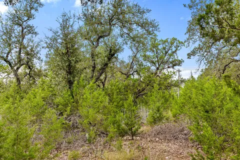 a view of outdoor space with trees