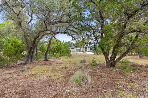 a view of beach and tree