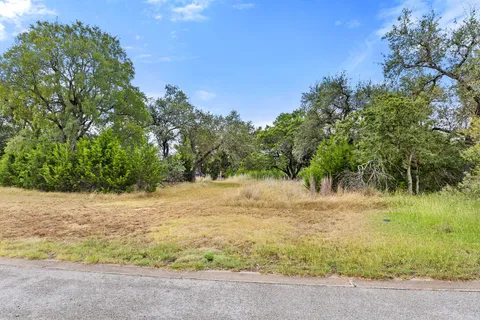 a view of a yard with plants