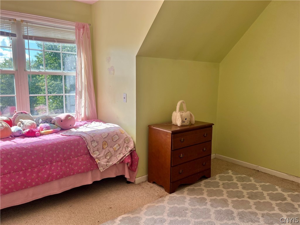2615 Carson Road Virgil, NY 13045 - Photo 34 of 49 Gallery Image 34
