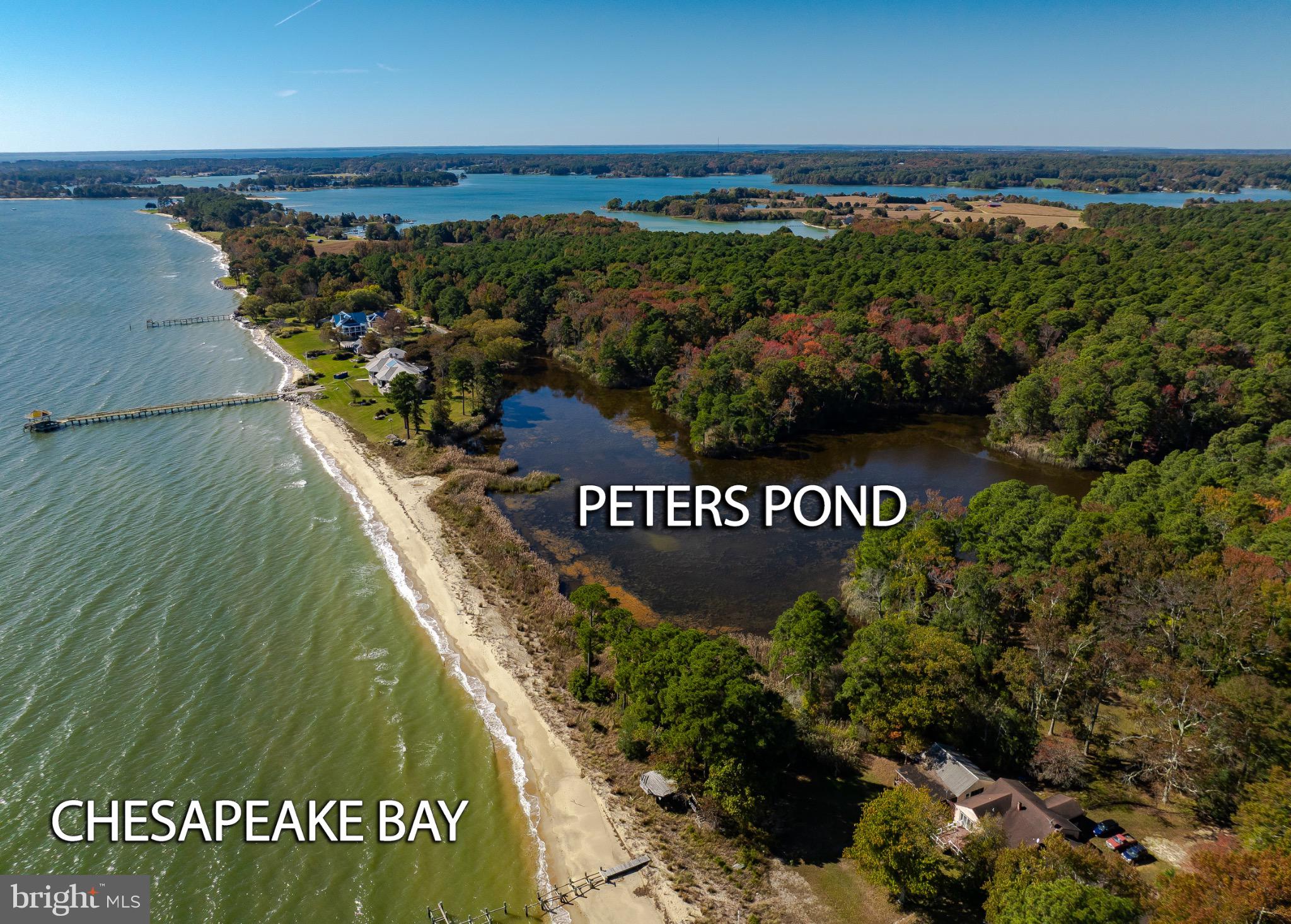 50645 Holly Point Road Dameron, MD 20628 - Photo 35 of 99