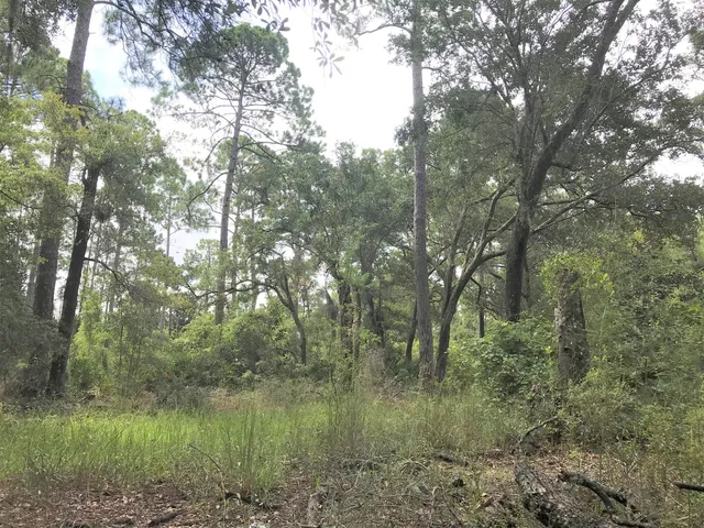 $2,000,000 | 6822 Hilliard Street, Southport, FL 32409