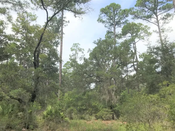 $2,000,000 | 6822 Hilliard Street, Southport, FL 32409