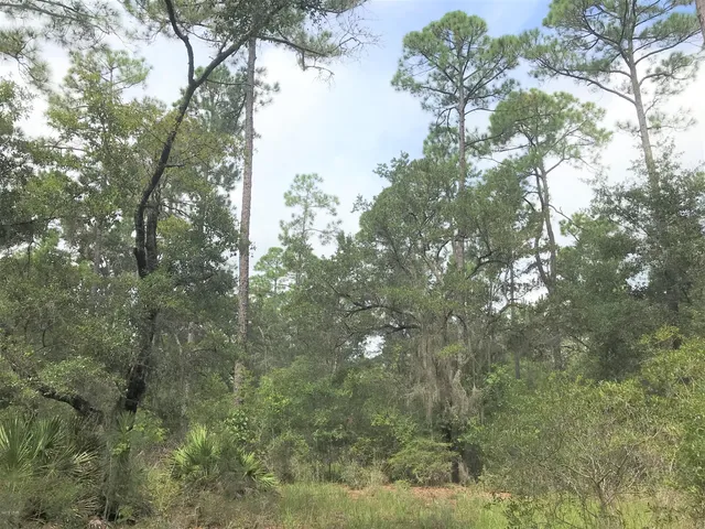 $2,000,000 | 6822 Hilliard Street, Southport, FL 32409