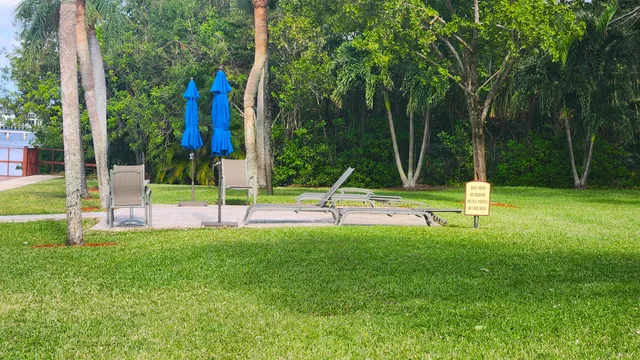 a view of a back yard