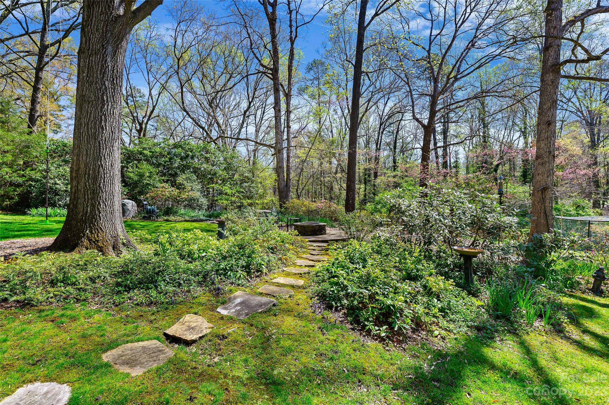246 Shasta Lane Charlotte, NC 28211 - Photo 39 of 48 a view of a garden with plants