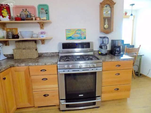 6243 Reid Road Swartz Creek, MI 48473 - Photo 34 of 98 21187519-34.JPG