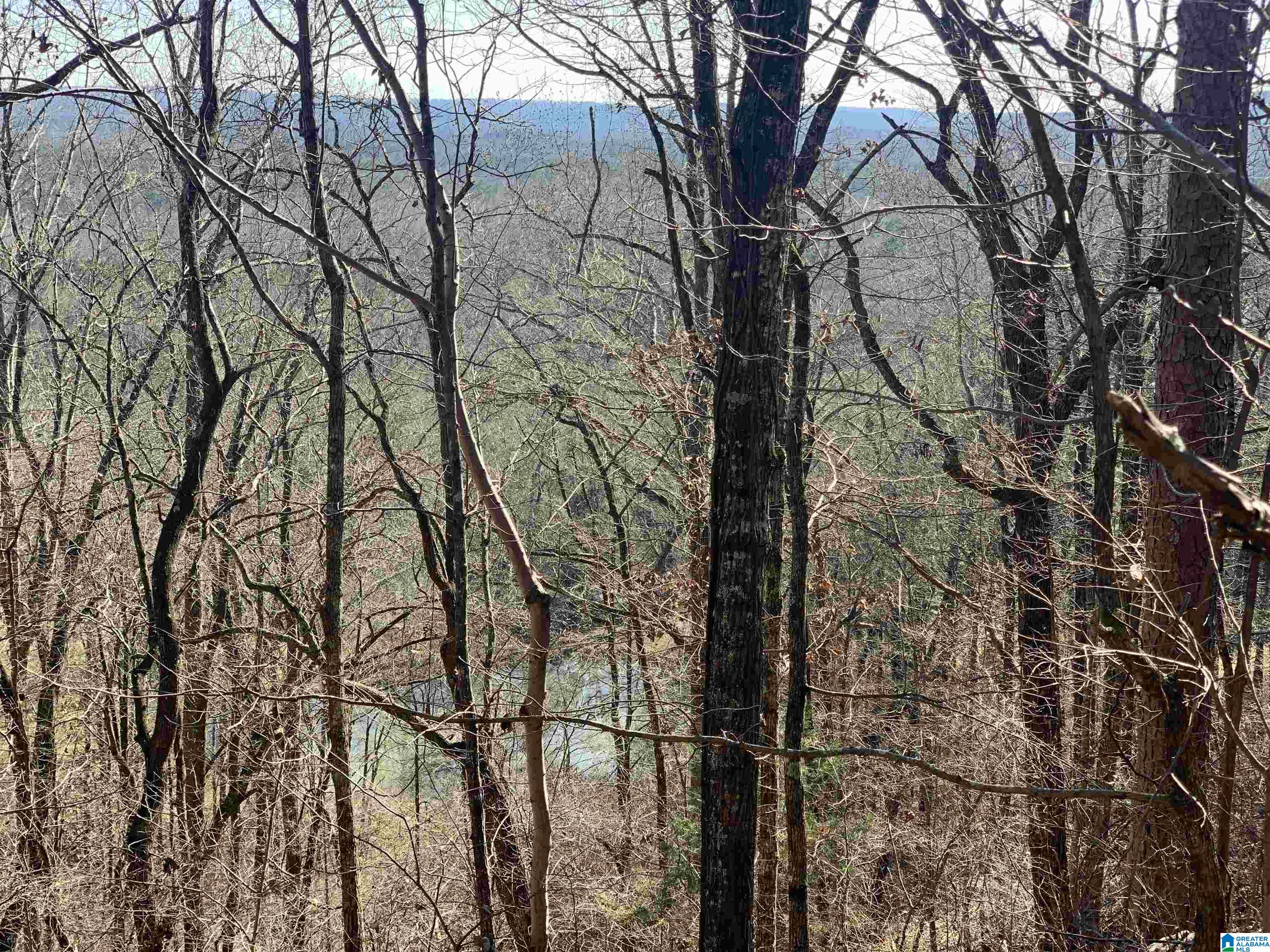 9469 Highway 11 Springville, AL 35146 - Photo 27 of 29