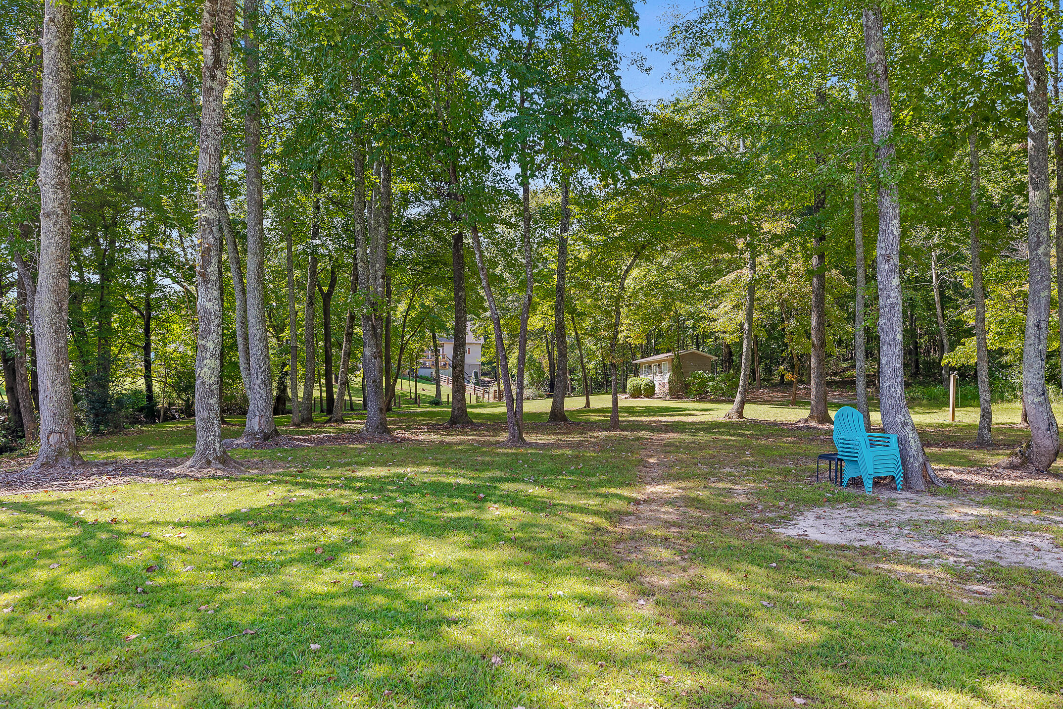 152 Isaacs Lane Spring City, TN 37381 - Photo 7 of 50 Isaacs-41