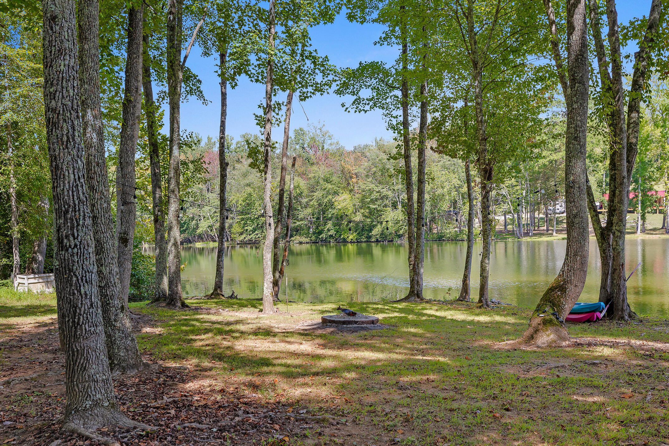 152 Isaacs Lane Spring City, TN 37381 - Photo 8 of 50 Isaacs-37