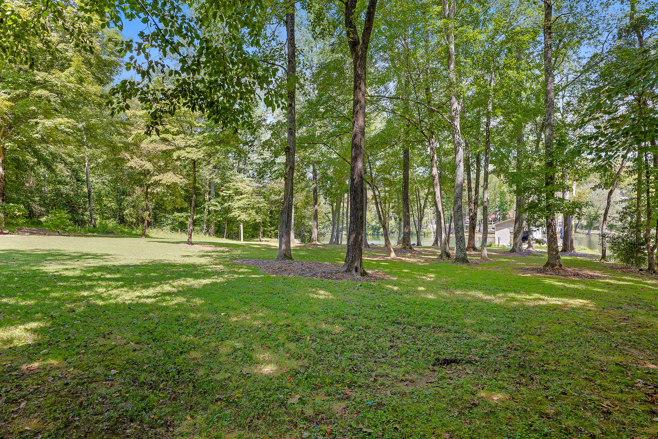 152 Isaacs Lane Spring City, TN 37381 - Photo 9 of 50 Isaacs-36