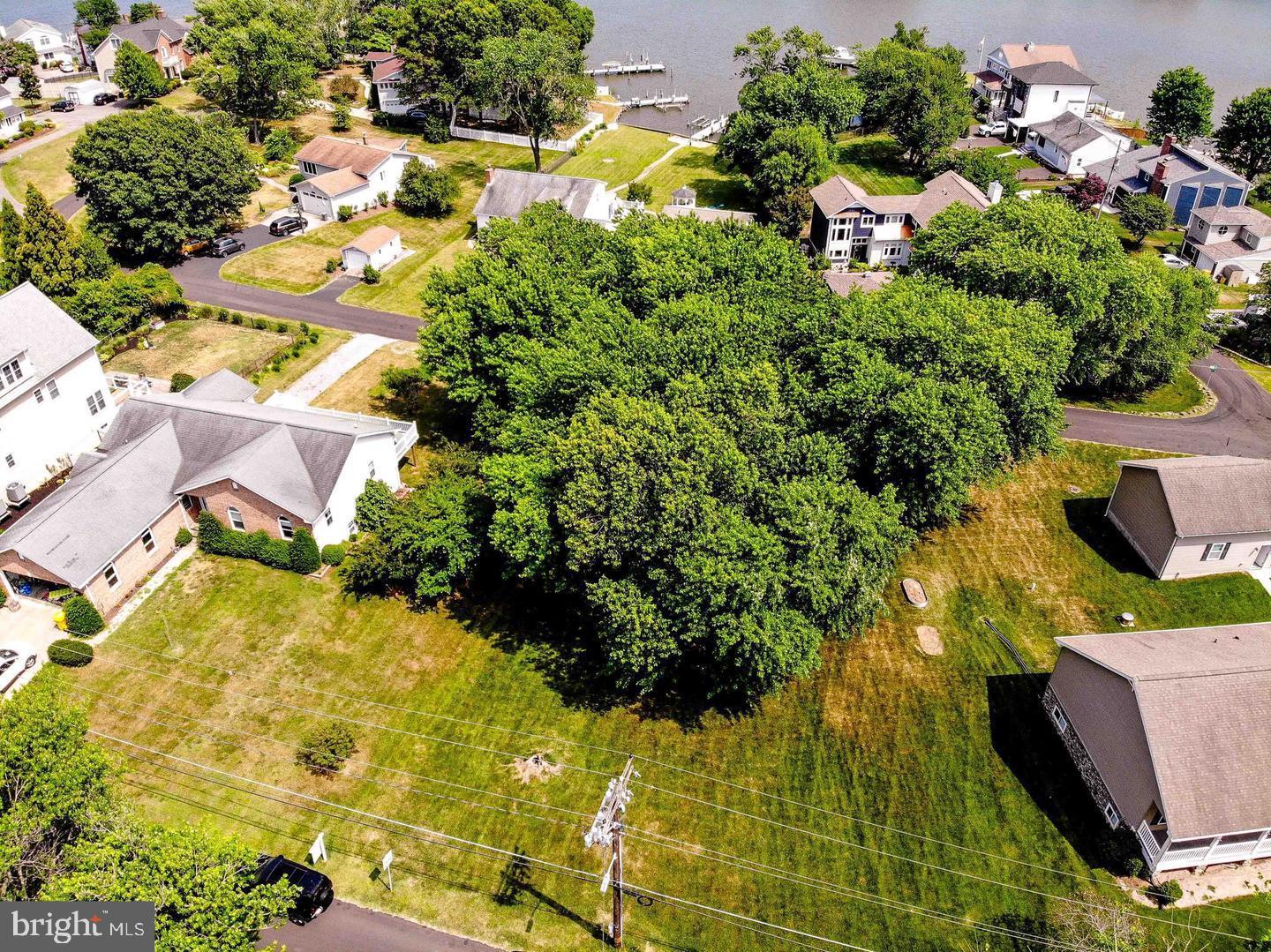 1171 Turkey Point Road Edgewater, MD 21037 - Photo 4 of 5 Empty lot