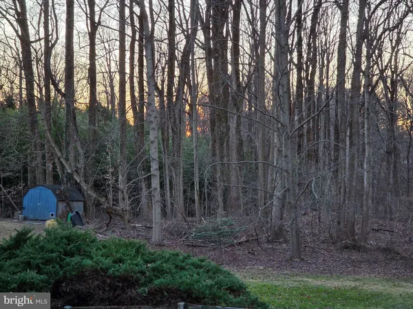 a backyard of a house with lots of green space and garden