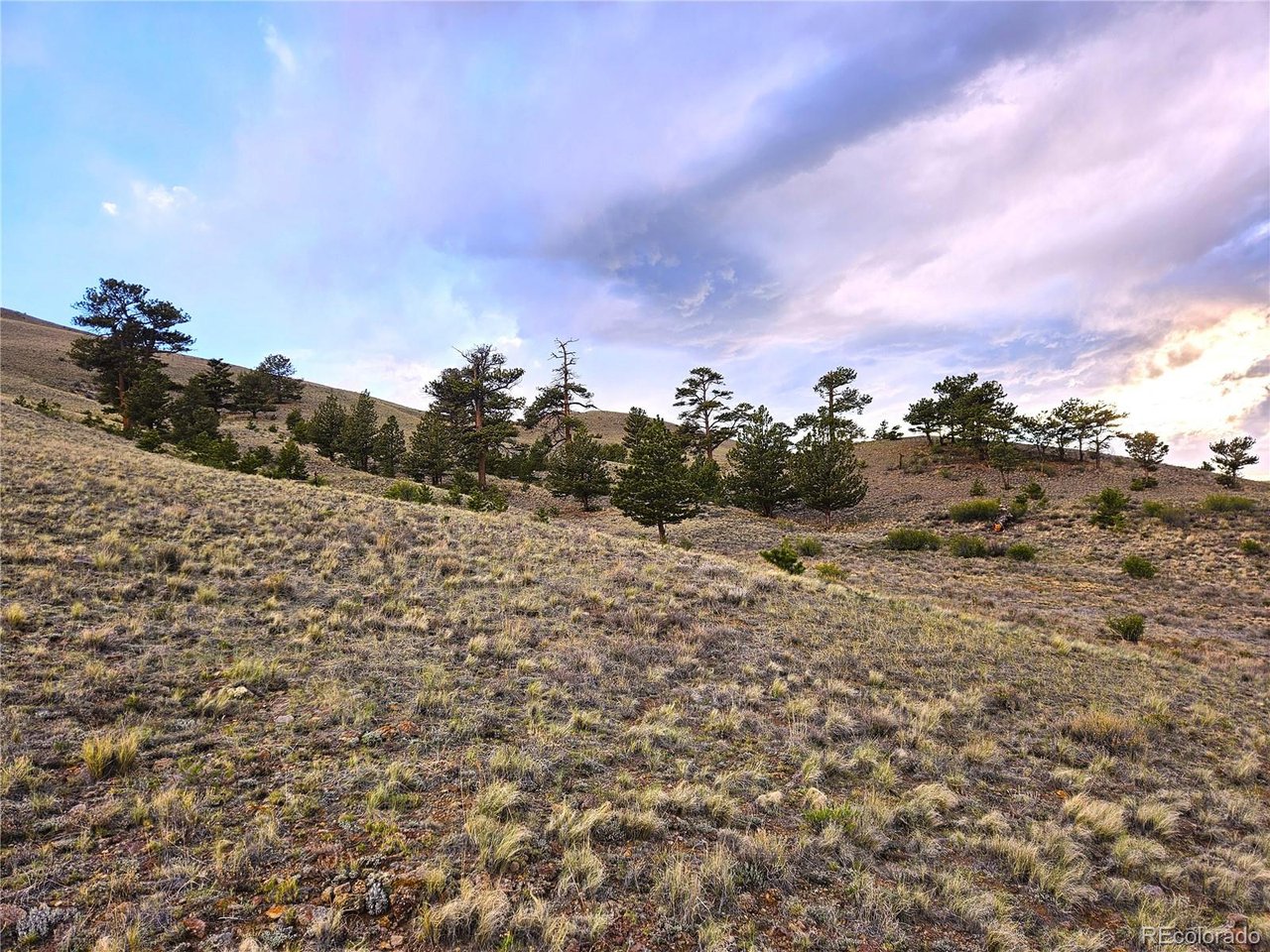25427 Yuma Road Hartsel, CO 80449 - Photo 15 of 31