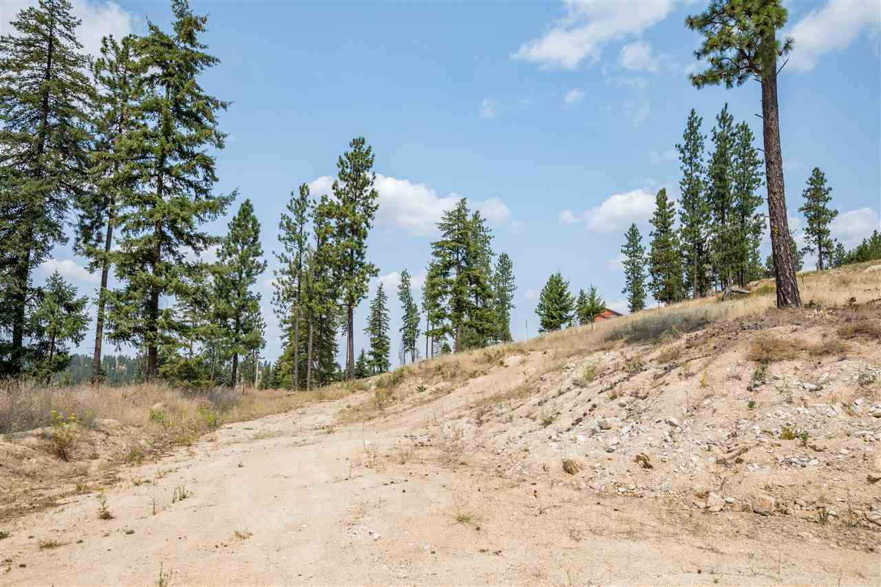 15411 East Bill Gulch Road Mead, WA 99021 - Photo 4 of 19