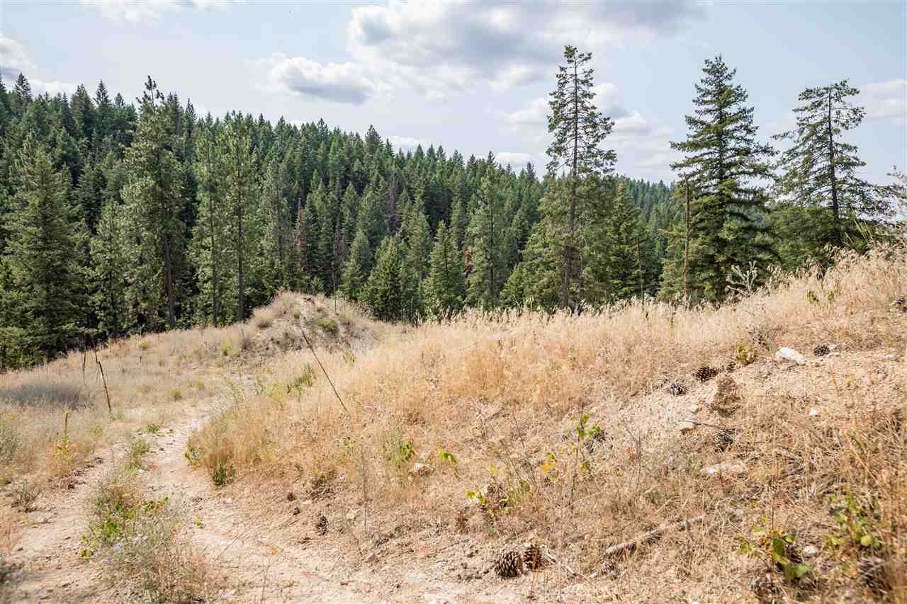 15411 East Bill Gulch Road Mead, WA 99021 - Photo 5 of 19