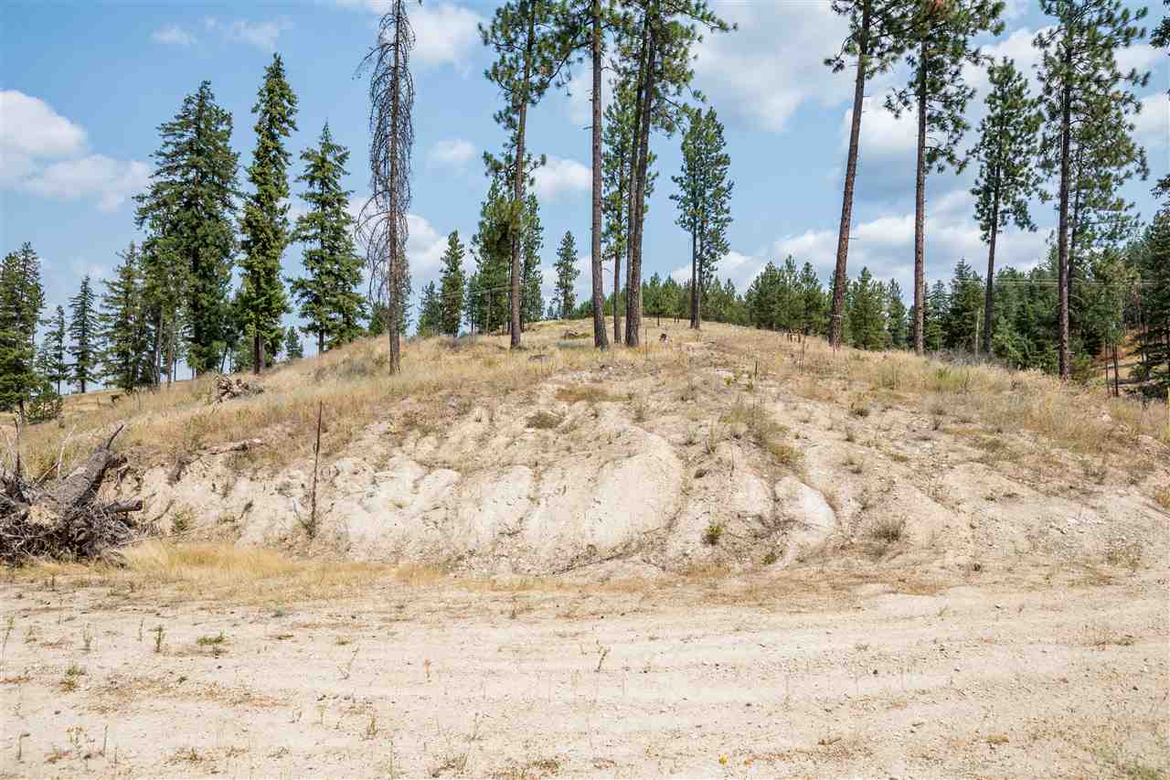 15411 East Bill Gulch Road Mead, WA 99021 - Photo 7 of 19