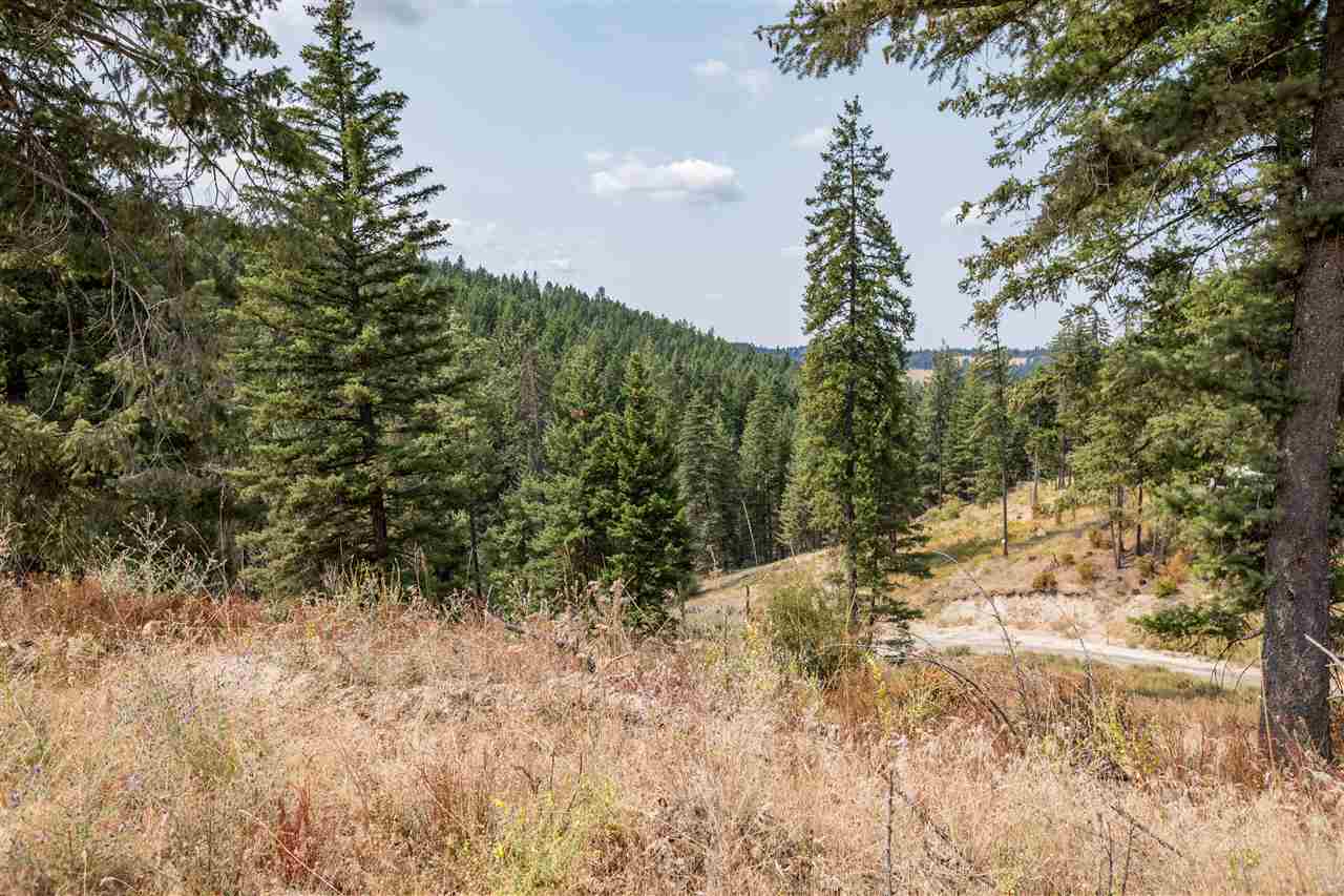 15411 East Bill Gulch Road Mead, WA 99021 - Photo 8 of 19