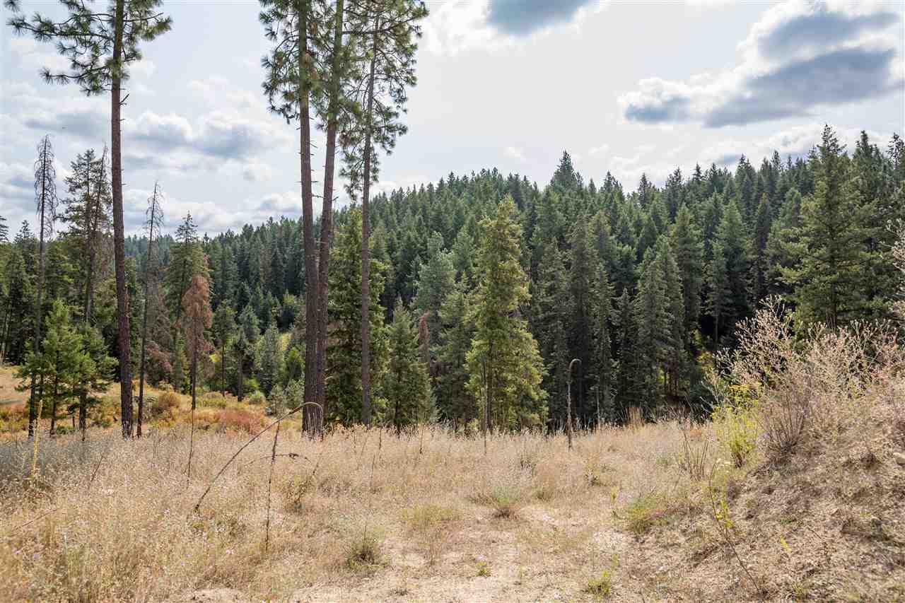 15411 East Bill Gulch Road Mead, WA 99021 - Photo 9 of 19
