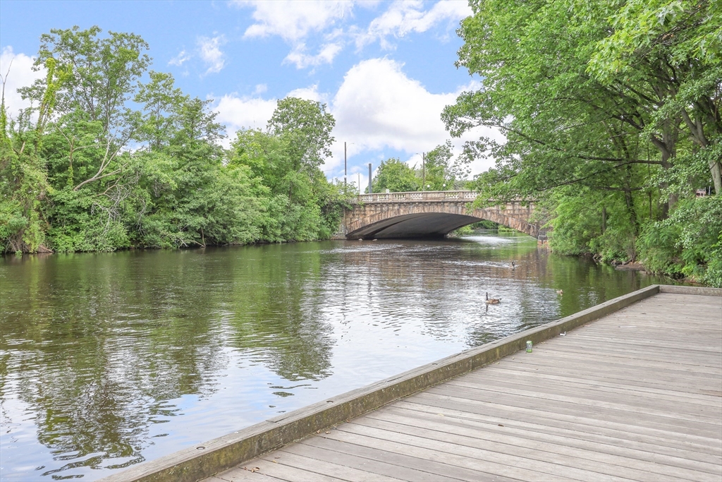 14 Riverside Street, Unit 31 Watertown, MA 02472 - Photo 24 of 25 Gallery Image 24