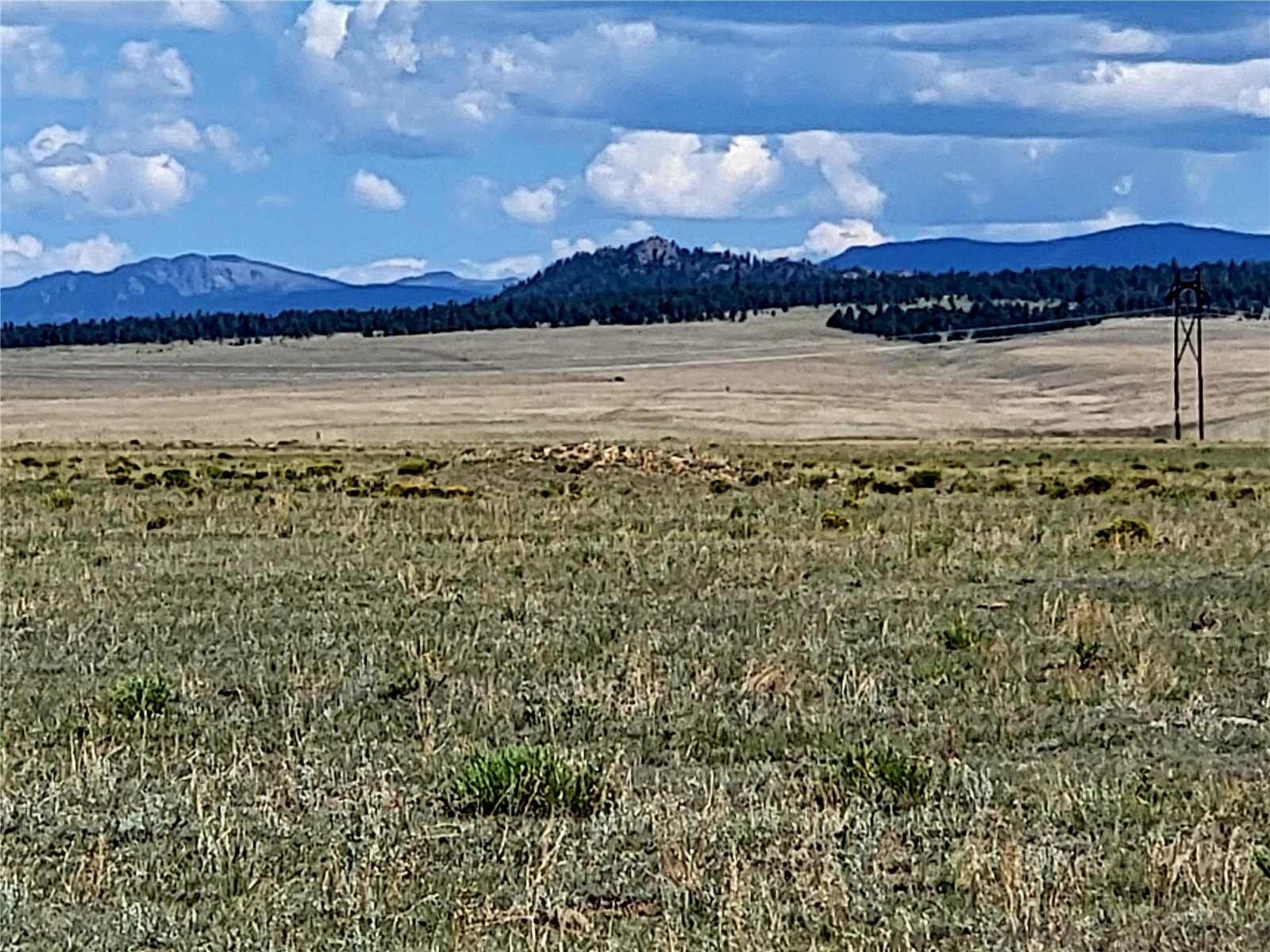 0 Rio Blanco Road Hartsel, CO 80449 - Photo 9 of 9 Gallery Image 9
