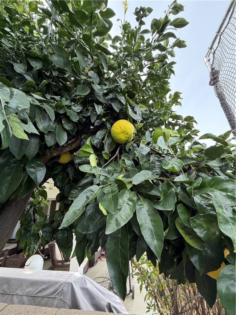 10500 Frontier Trail Cherry Valley, CA 92223 - Photo 12 of 48