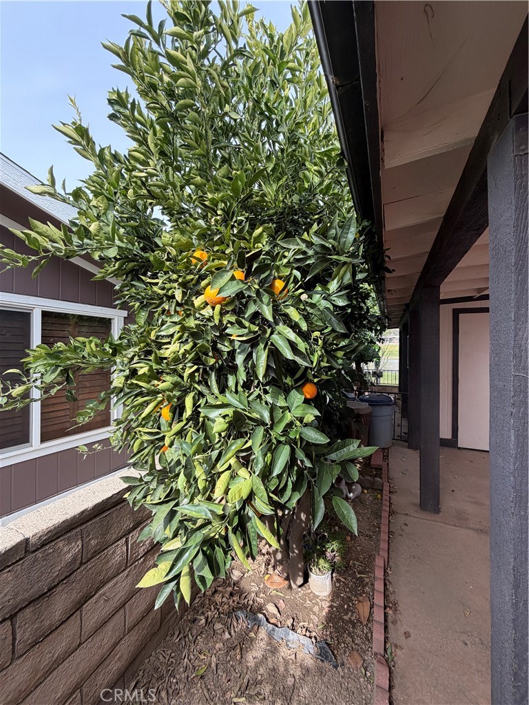 10500 Frontier Trail Cherry Valley, CA 92223 - Photo 10 of 48