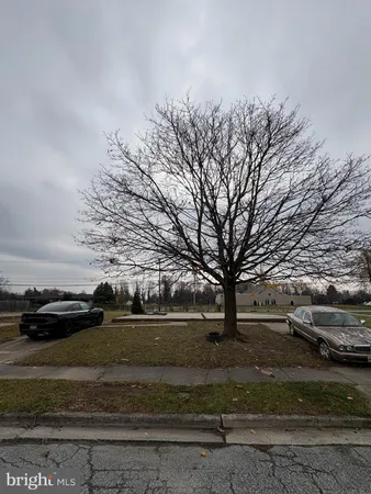 a view of backyard with green space
