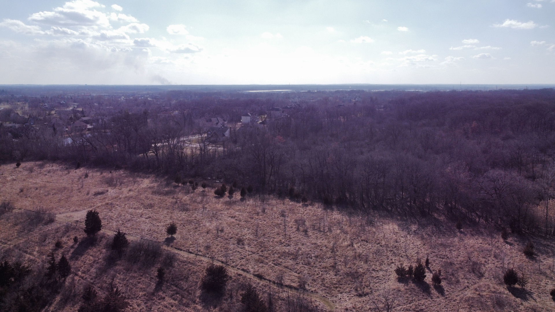 753 Holly Drive Bartlett, IL 60103 - Photo 42 of 43 a view of a dry yard