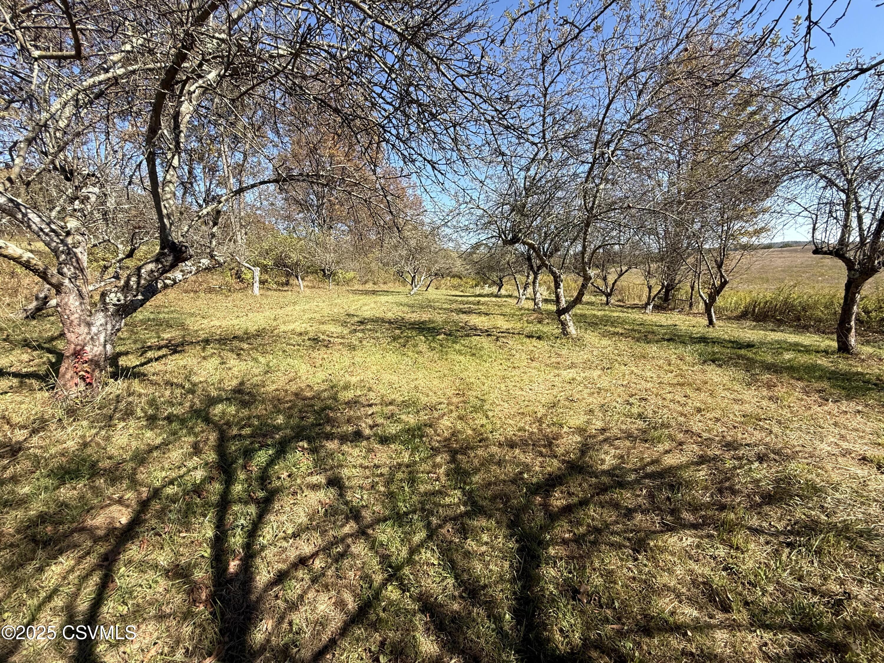 316 Old County Road Benton, PA 17814 - Photo 12 of 78
