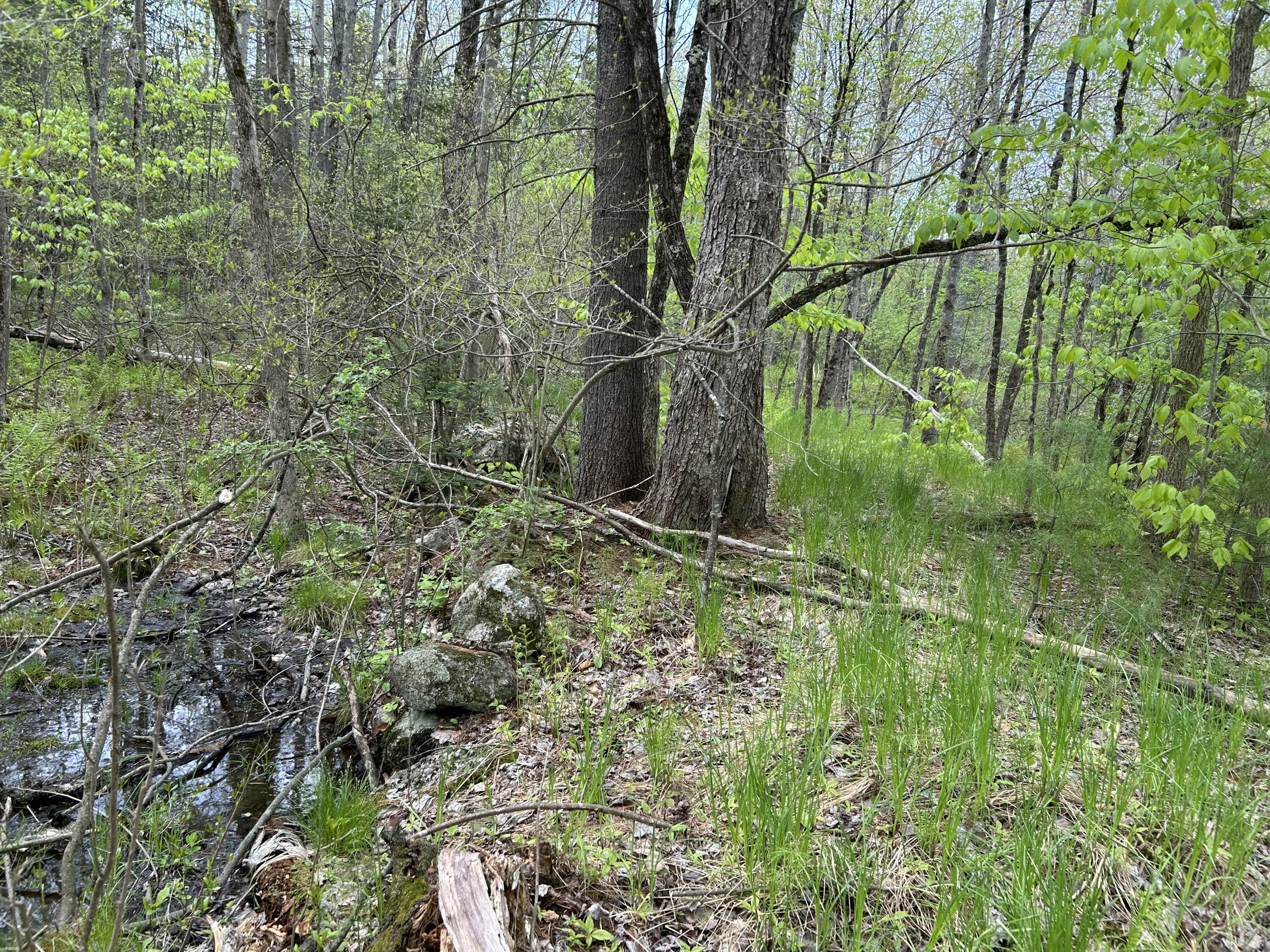 281 Randall Road Lewiston, ME 04240 - Photo 12 of 31