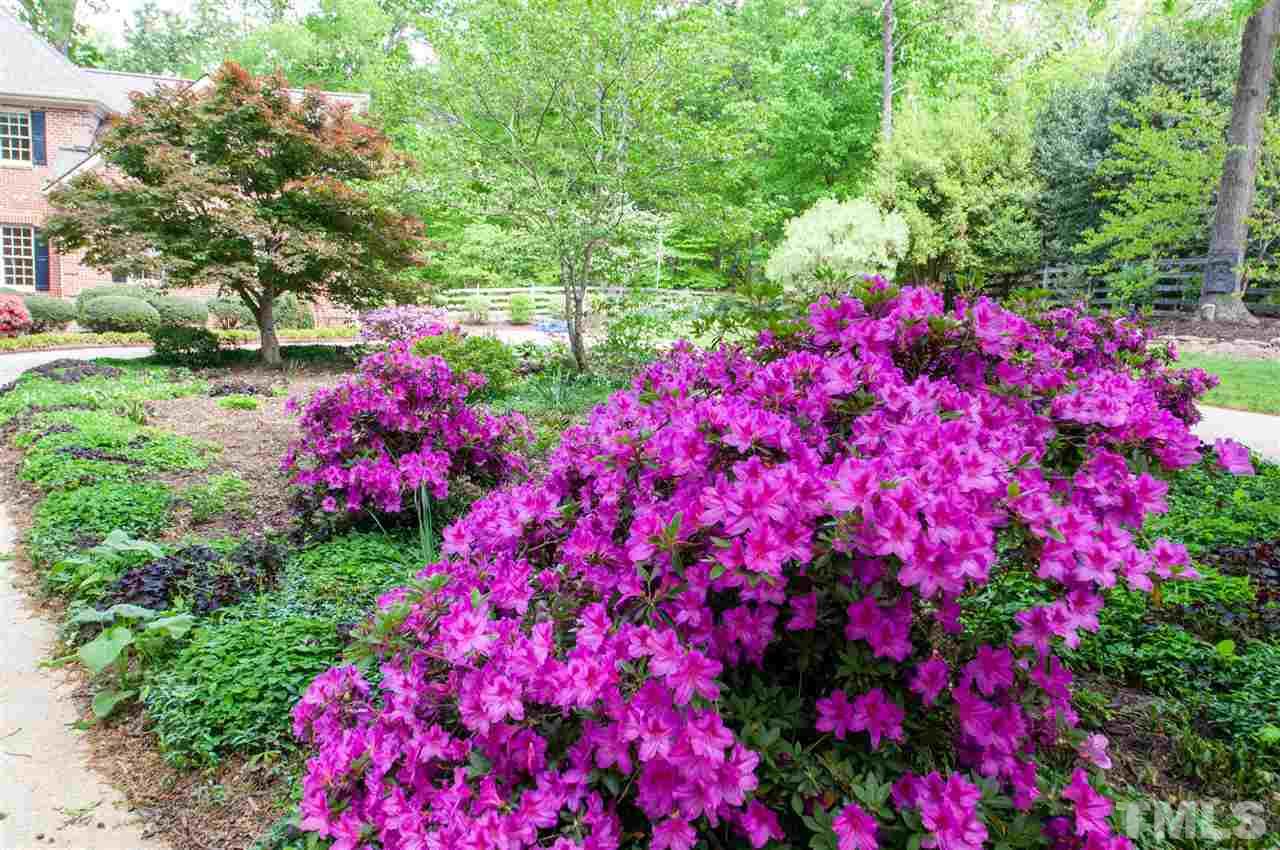 1009 Erins Way Lane Raleigh, NC 27614 - Photo 25 of 30 Gallery Image 25