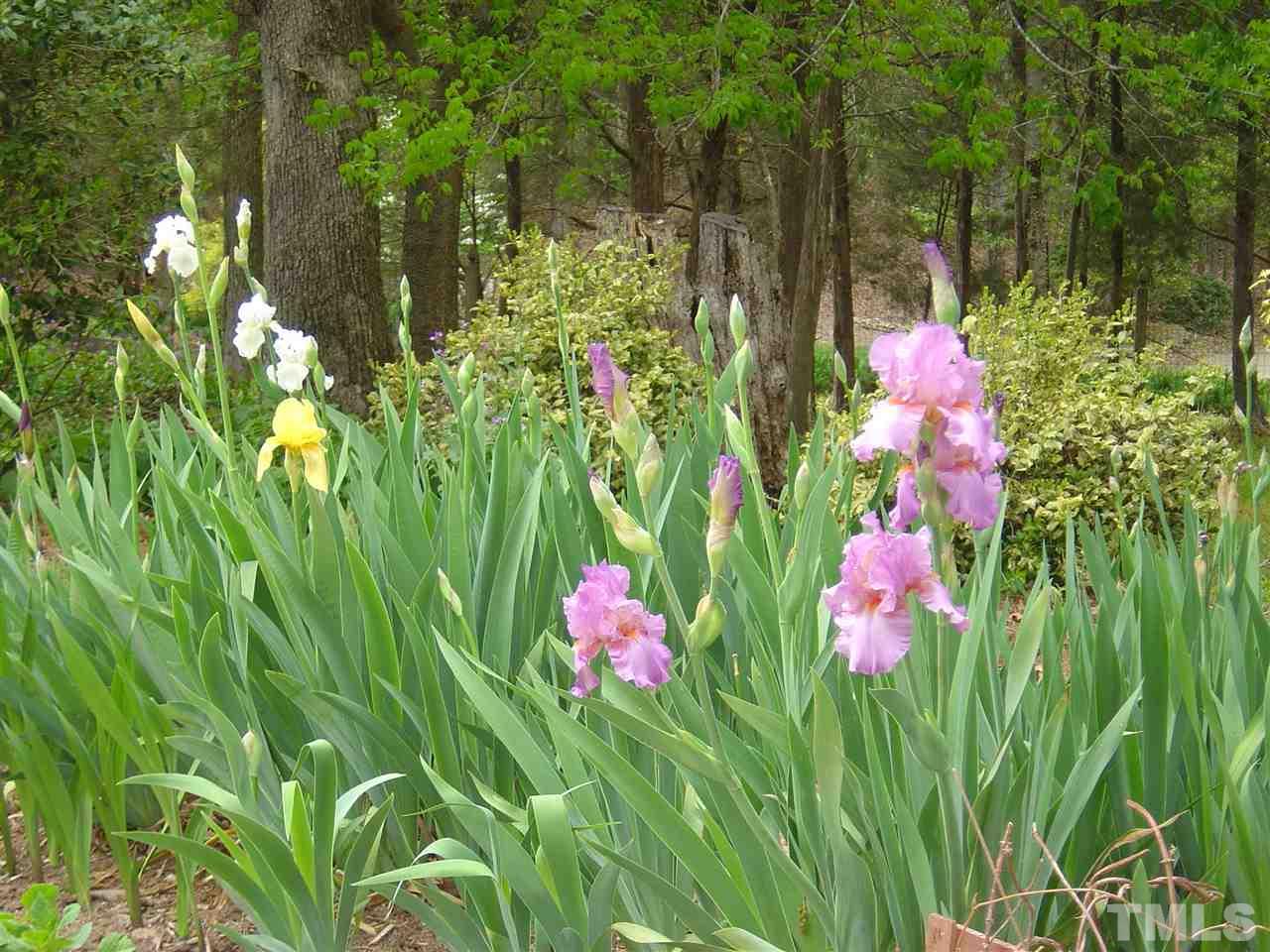 1009 Erins Way Lane Raleigh, NC 27614 - Photo 27 of 30 Gallery Image 27