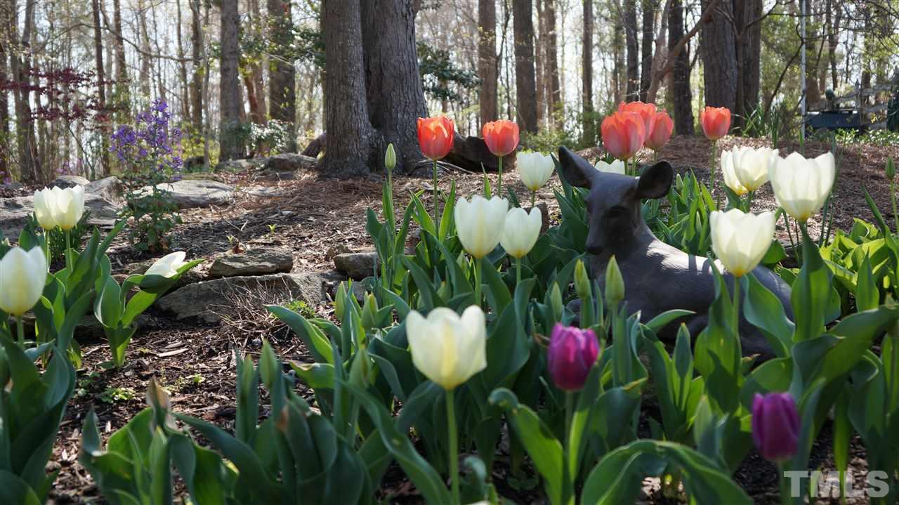 1009 Erins Way Lane Raleigh, NC 27614 - Photo 28 of 30 Gallery Image 28