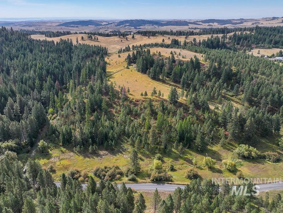 Tbd Wallen Road Moscow, ID 83843 - Photo 6 of 20 Gallery Image 6
