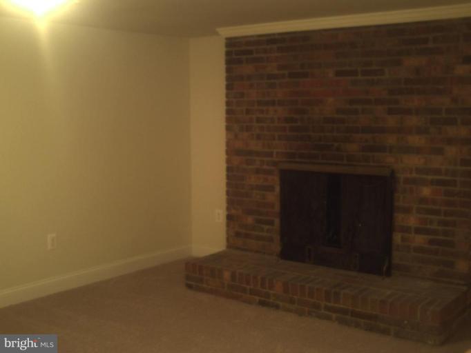 9342 Indiantown Road King George, VA 22485 - Photo 17 of 19 Light a fire in the down stairs den.