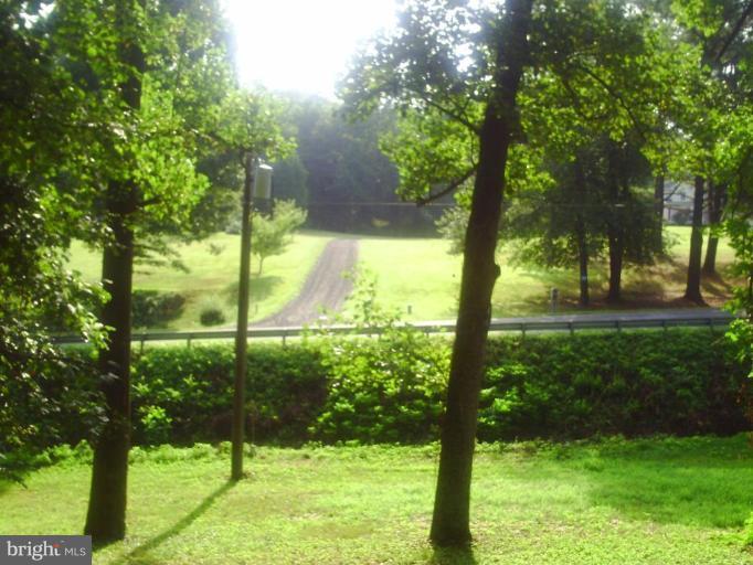 9342 Indiantown Road King George, VA 22485 - Photo 3 of 19 View from front porch