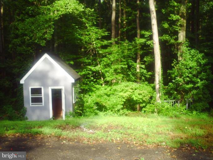 9342 Indiantown Road King George, VA 22485 - Photo 5 of 19 Wooded view