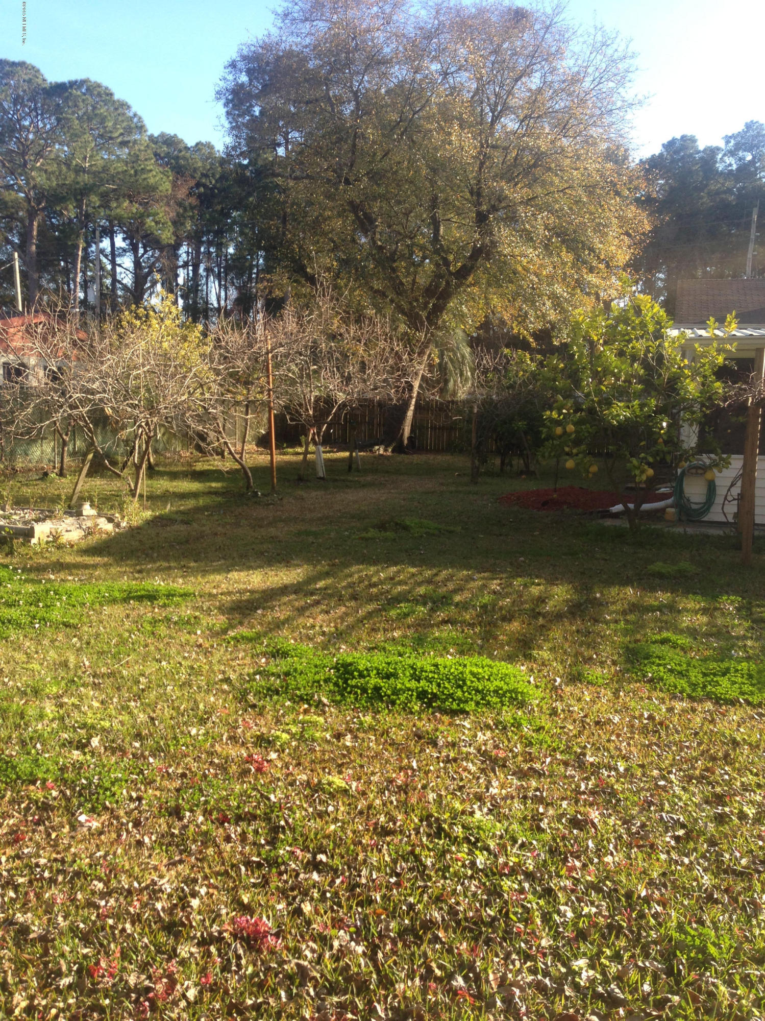 5715 Hickson Road Jacksonville, FL 32216 - Photo 2 of 23 Backyard