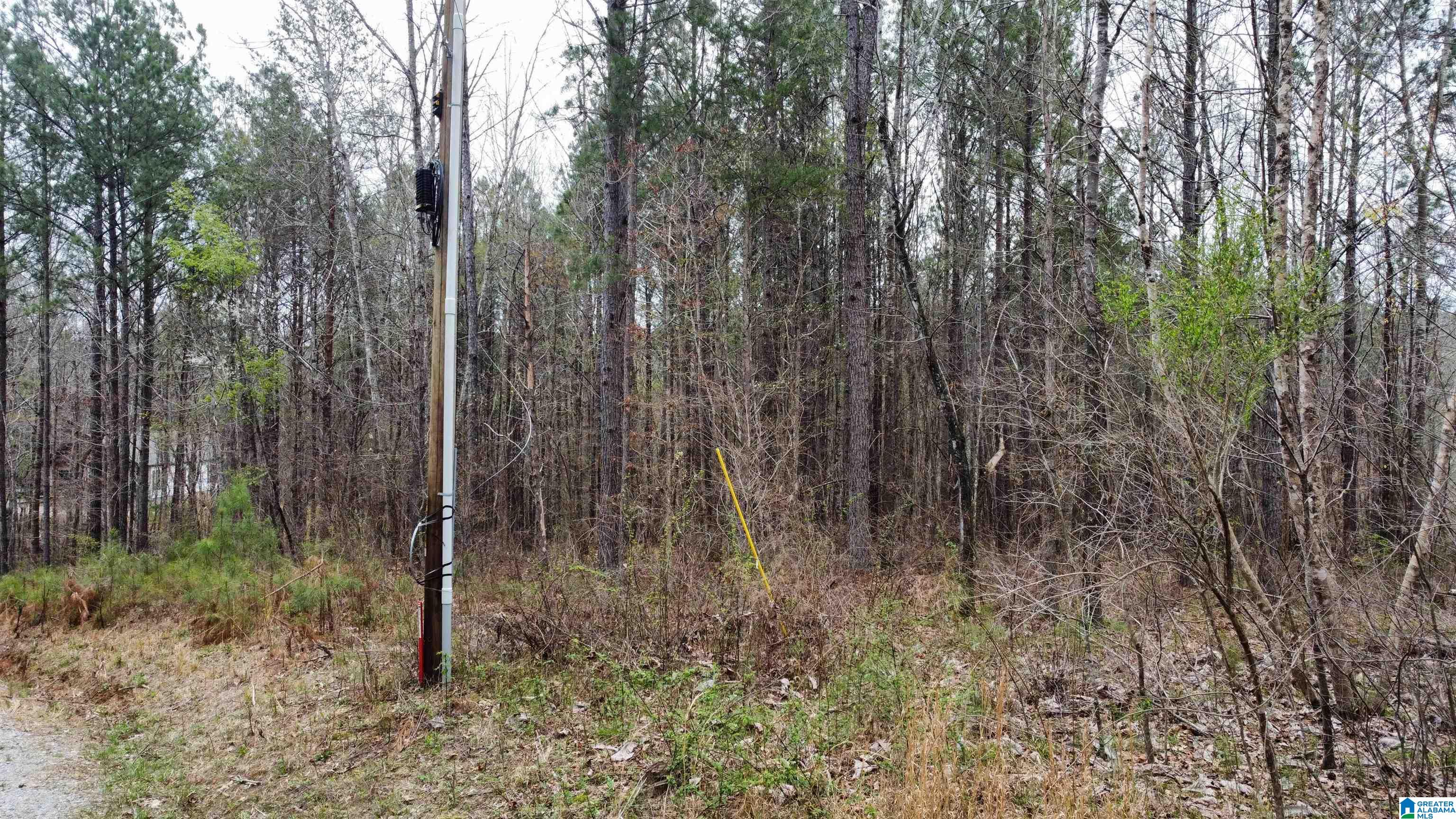 Lot 16 Turkey Bend Drive, Unit 16 Addison, AL 35540 - Photo 13 of 19