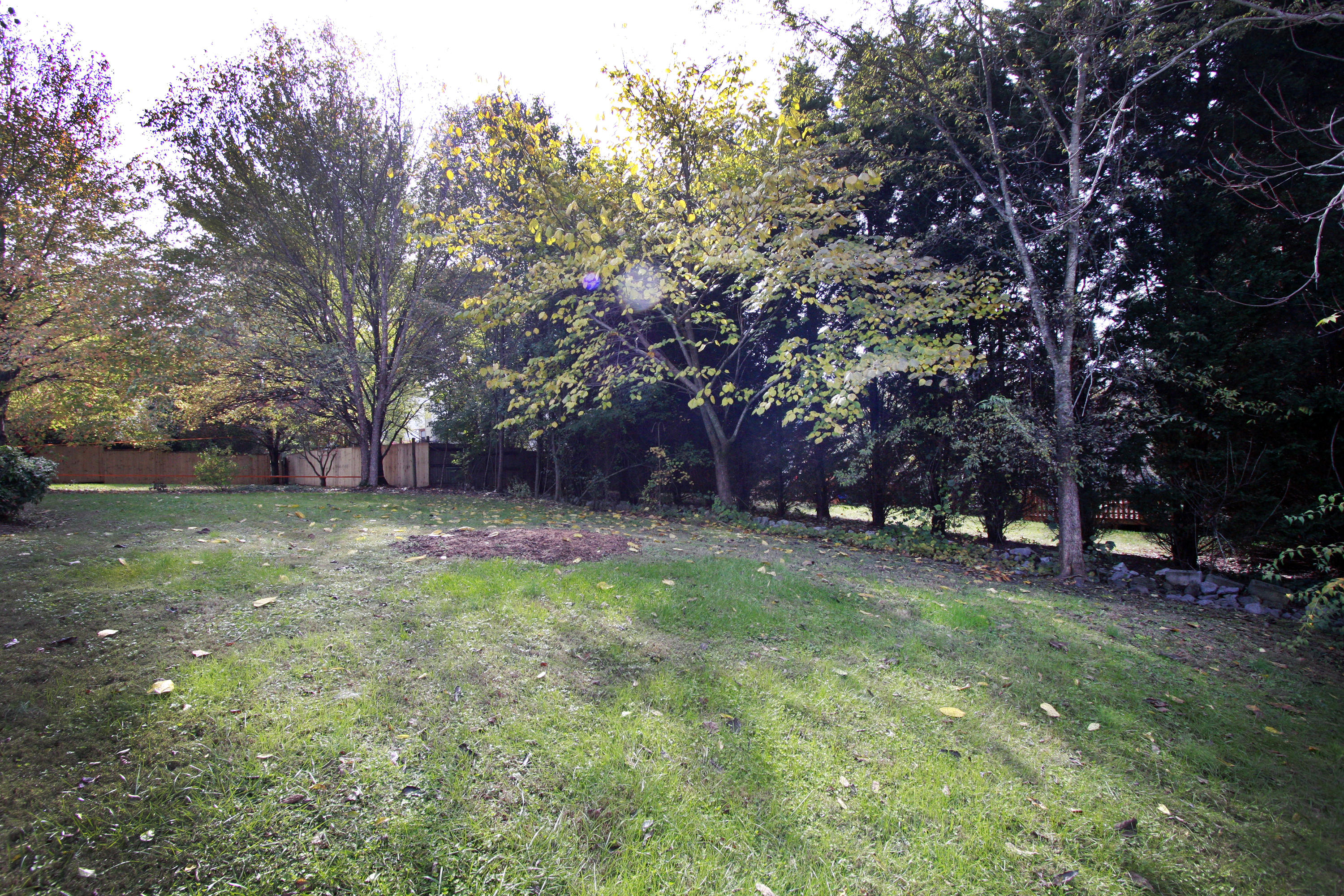 2212 East Windbrook Road Knoxville, TN 37923 - Photo 25 of 40 Backyard
