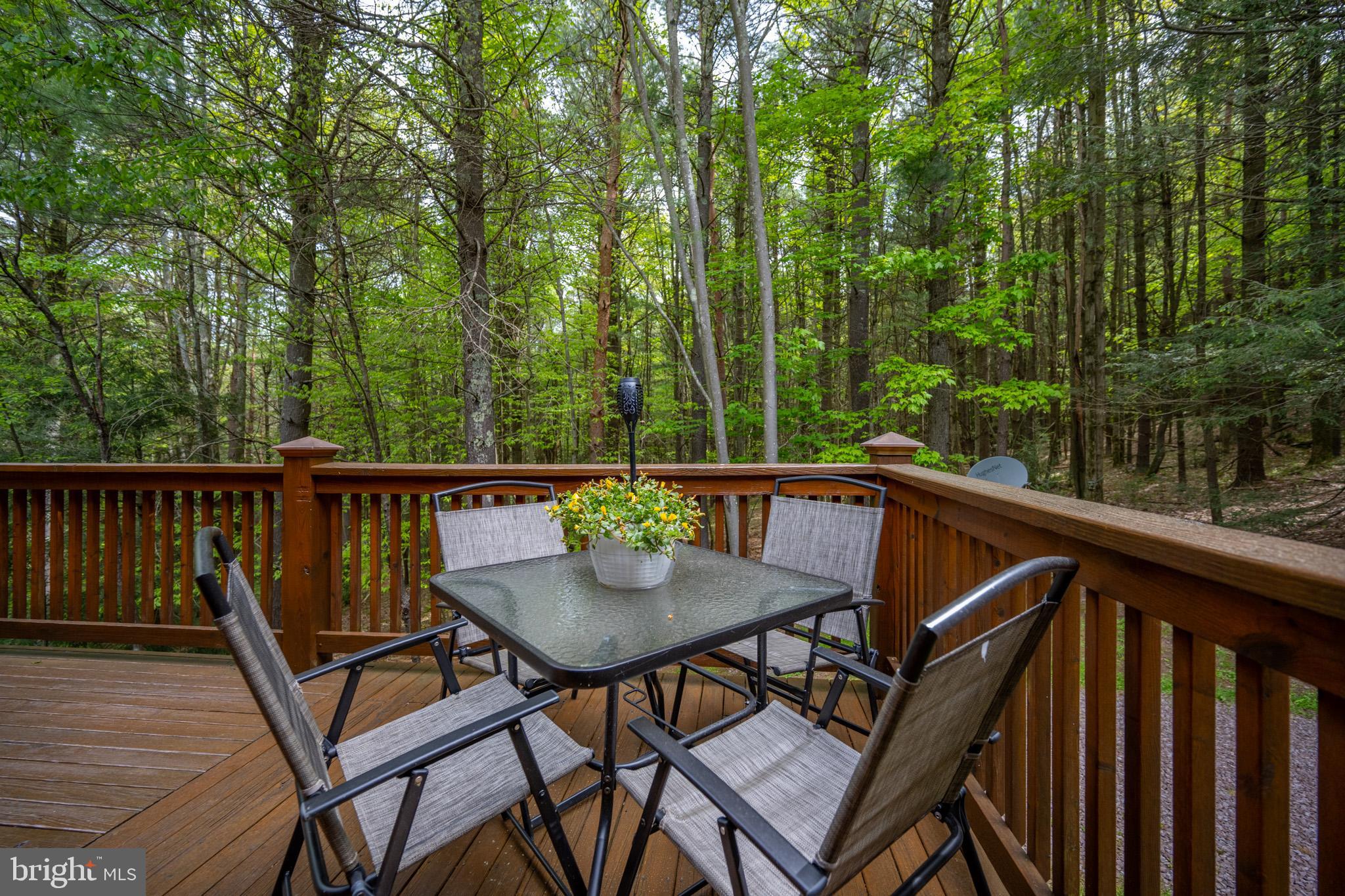 532 Pine Grove Road Lonaconing, MD 21539 - Photo 12 of 89