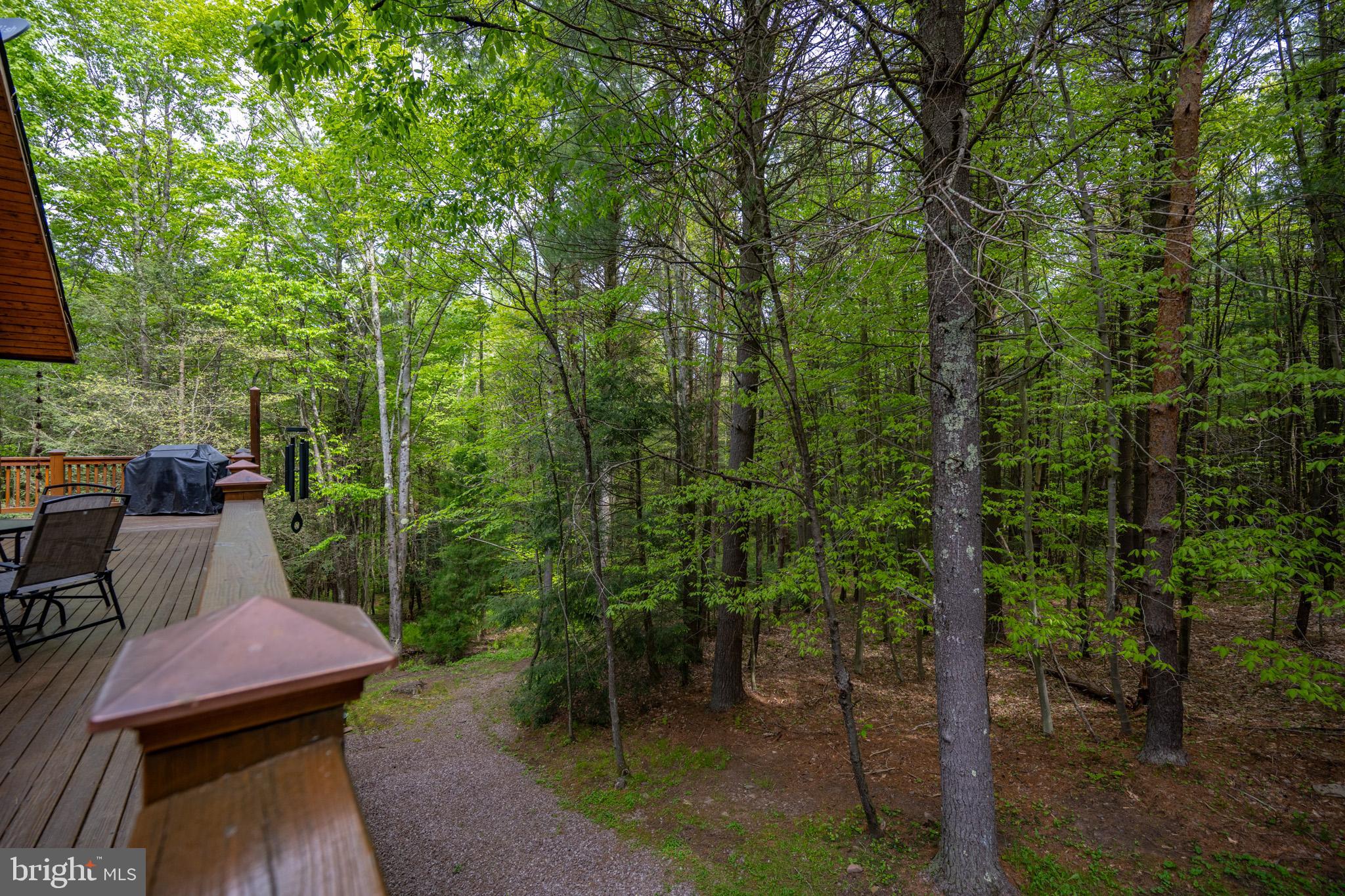 532 Pine Grove Road Lonaconing, MD 21539 - Photo 13 of 89