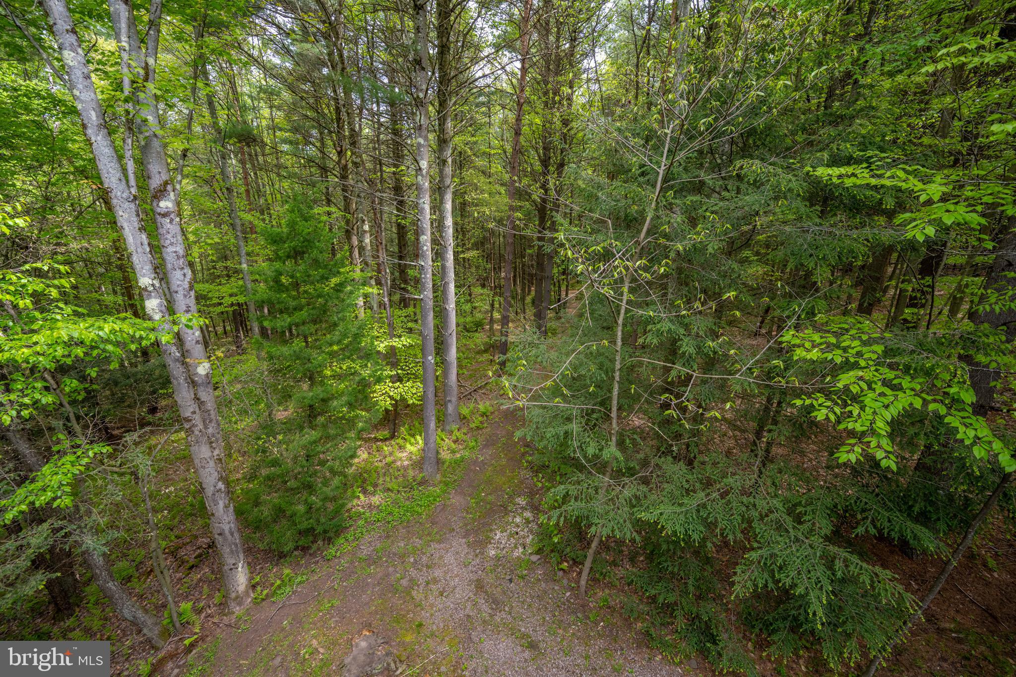 532 Pine Grove Road Lonaconing, MD 21539 - Photo 16 of 89