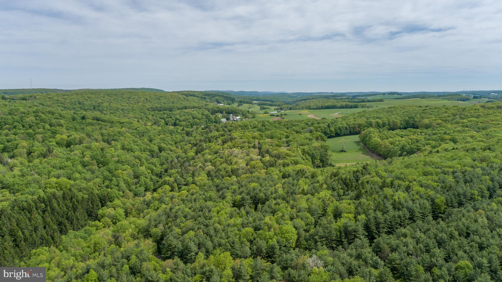 532 Pine Grove Road Lonaconing, MD 21539 - Photo 82 of 89