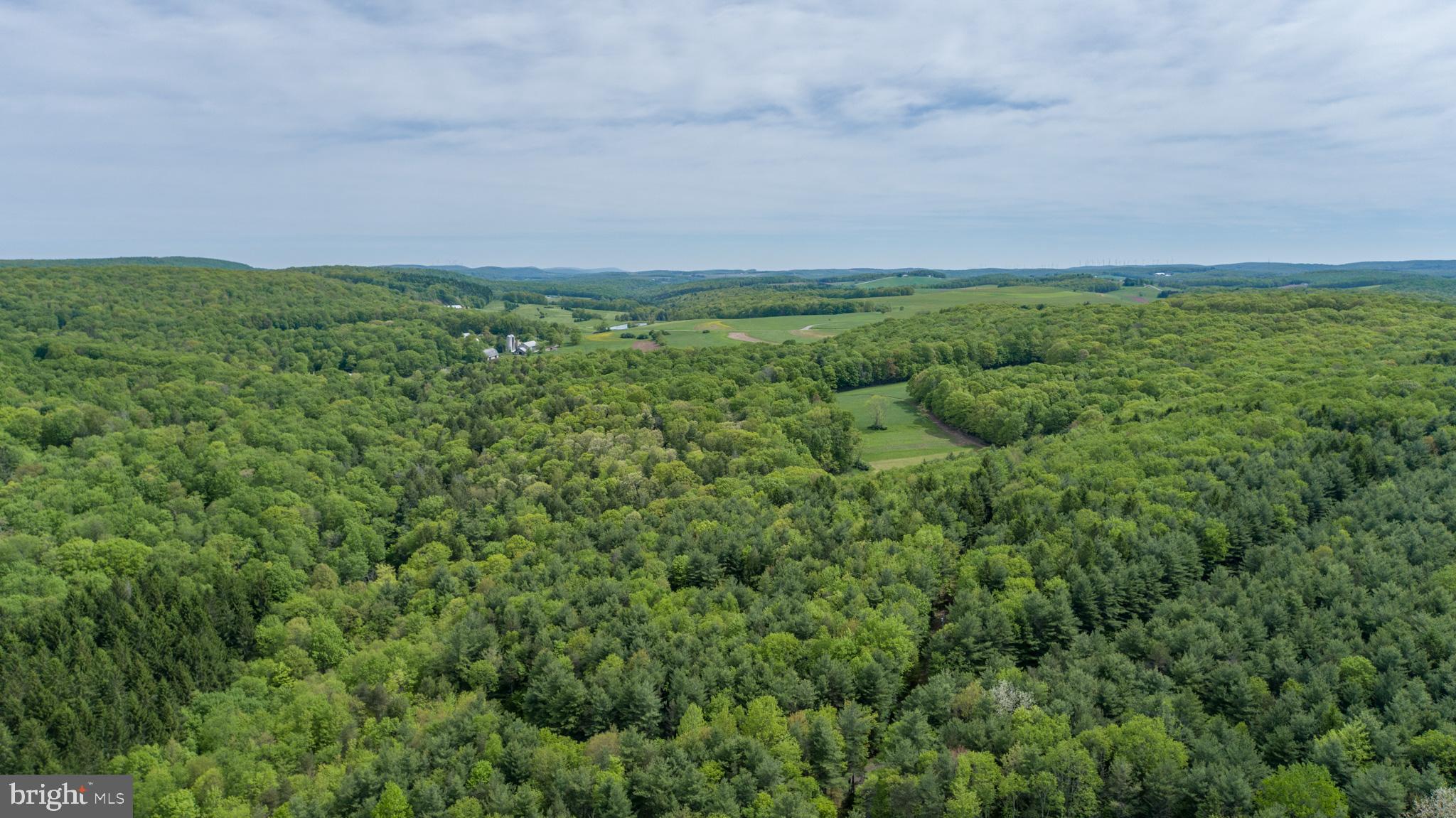 532 Pine Grove Road Lonaconing, MD 21539 - Photo 83 of 89