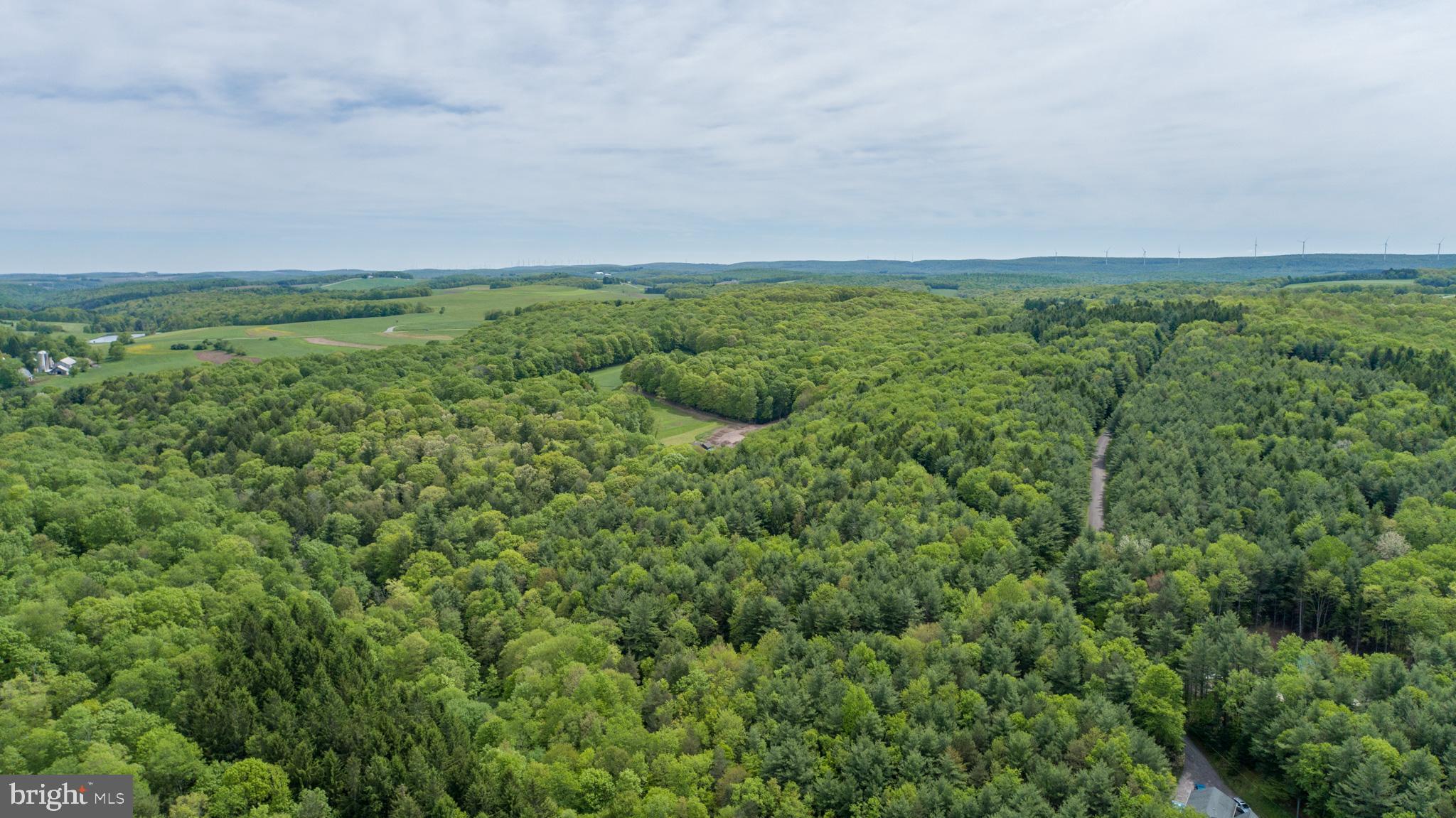 532 Pine Grove Road Lonaconing, MD 21539 - Photo 85 of 89