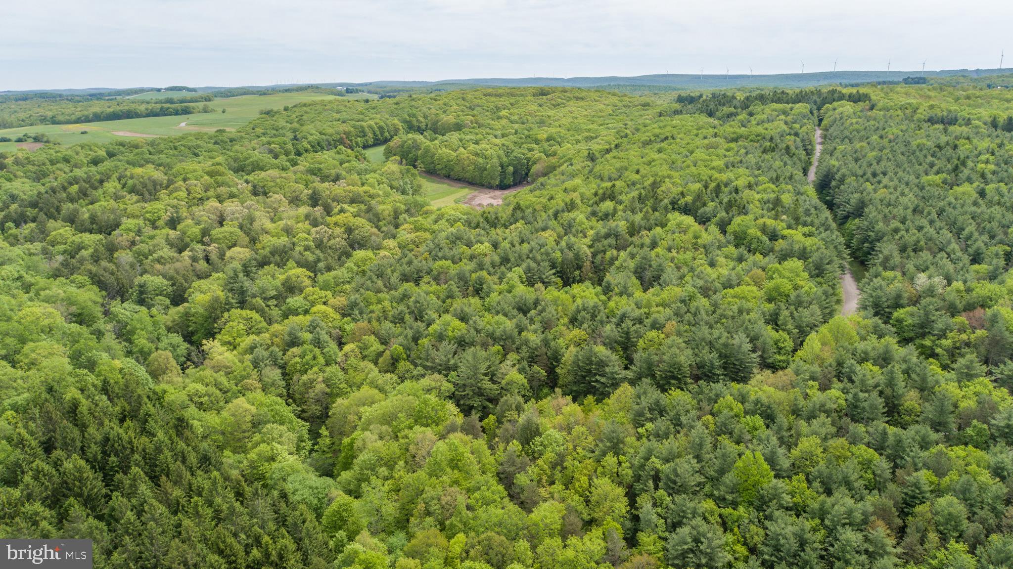 532 Pine Grove Road Lonaconing, MD 21539 - Photo 86 of 89