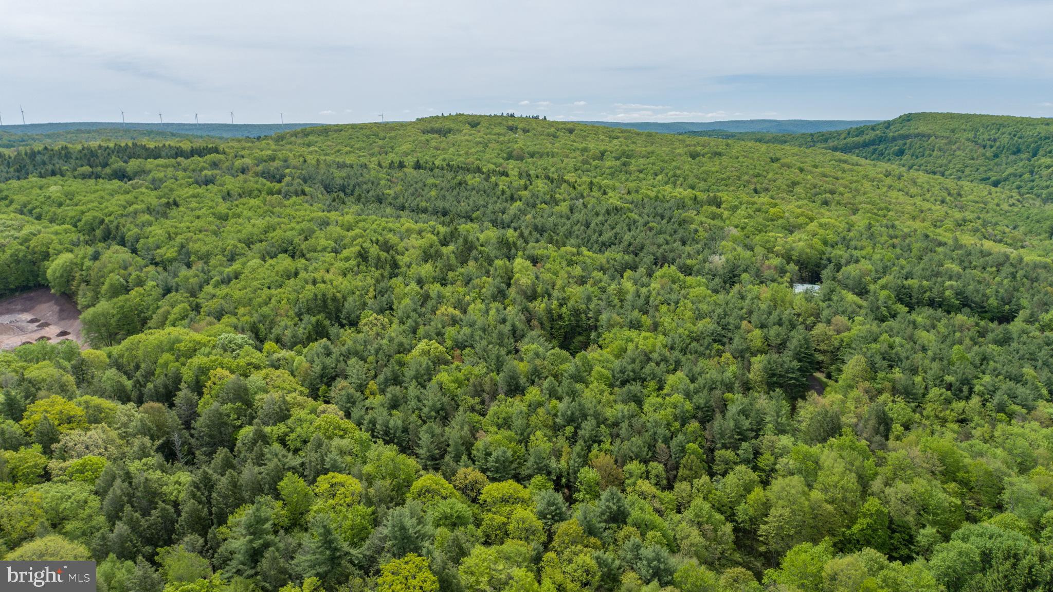 532 Pine Grove Road Lonaconing, MD 21539 - Photo 88 of 89