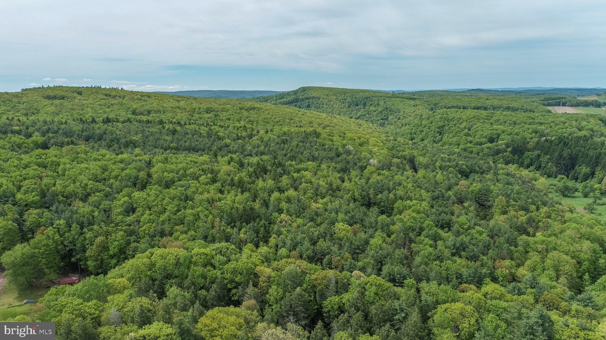 532 Pine Grove Road Lonaconing, MD 21539 - Photo 89 of 89